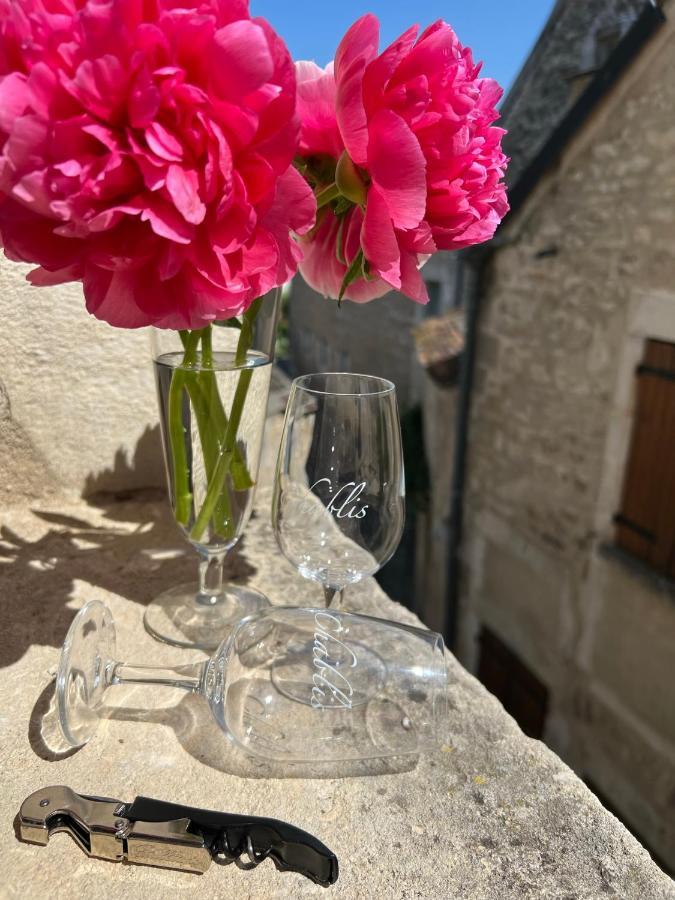 La Maison D'Alienor - Gites De Caractere A Chablis - 89 Zewnętrze zdjęcie