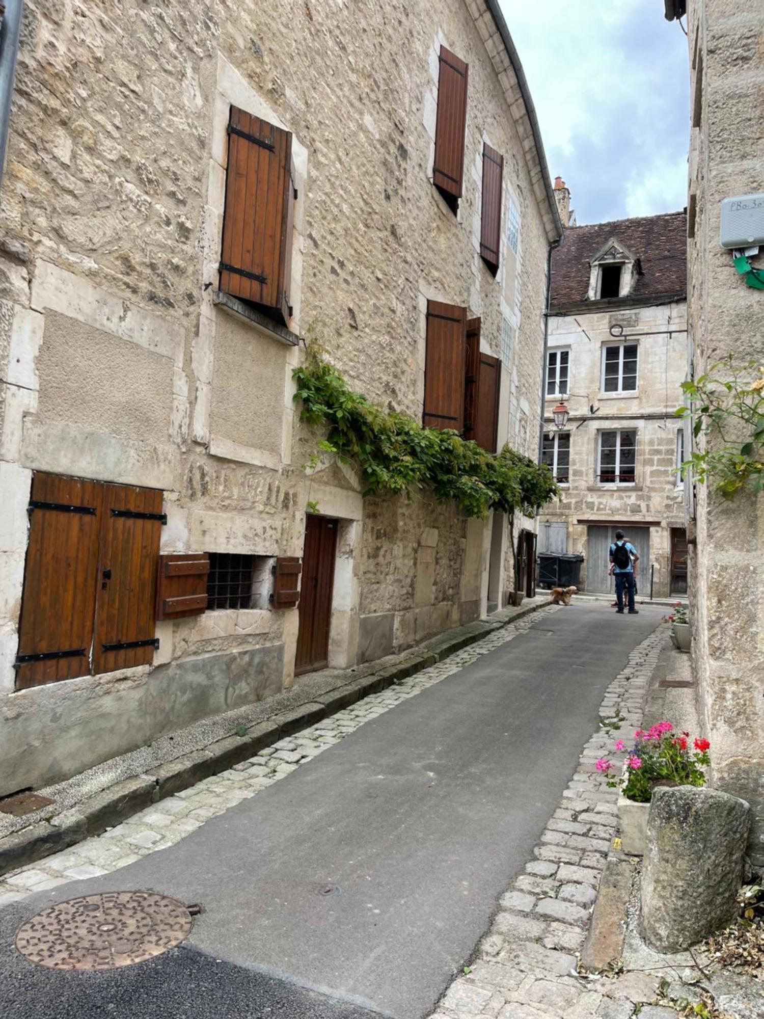 La Maison D'Alienor - Gites De Caractere A Chablis - 89 Zewnętrze zdjęcie